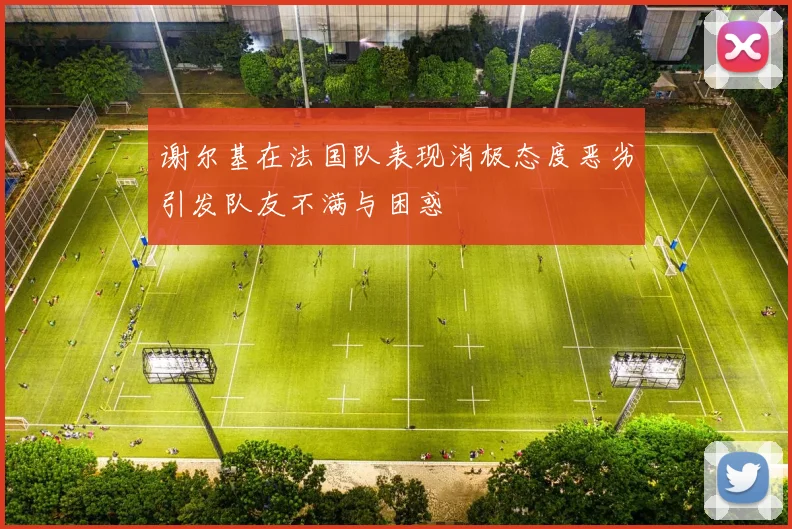 谢尔基在法国队表现消极态度恶劣引发队友不满与困惑