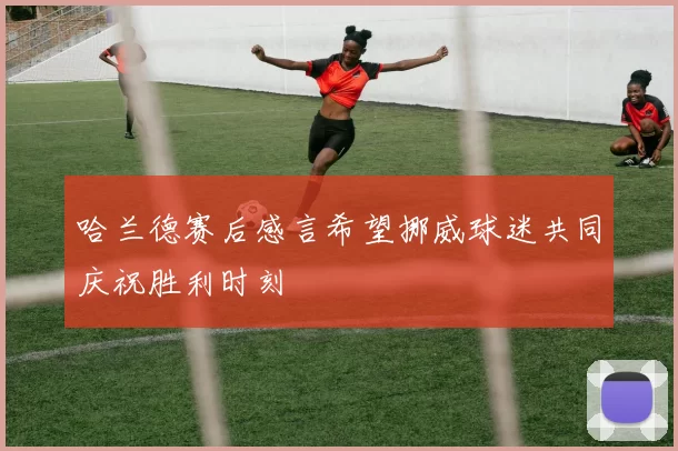 哈兰德赛后感言希望挪威球迷共同庆祝胜利时刻
