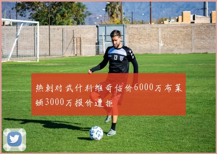 热刺对武什科维奇估价6000万布莱顿3000万报价遭拒