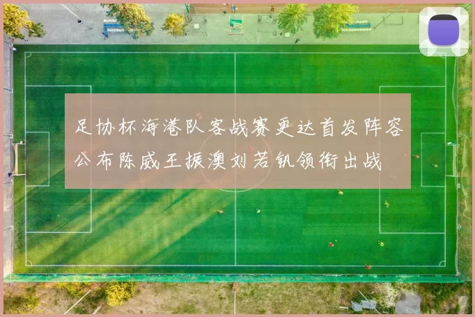 足协杯海港队客战赛更达首发阵容公布陈威王振澳刘若钒领衔出战